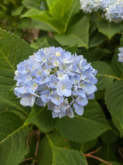Photograph by Prakrisht Dahiya